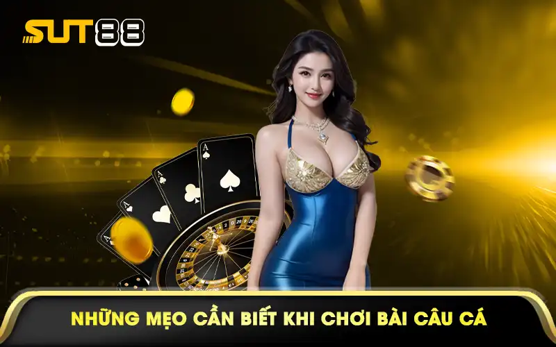 Những mẹo cần biết khi chơi bài câu cá